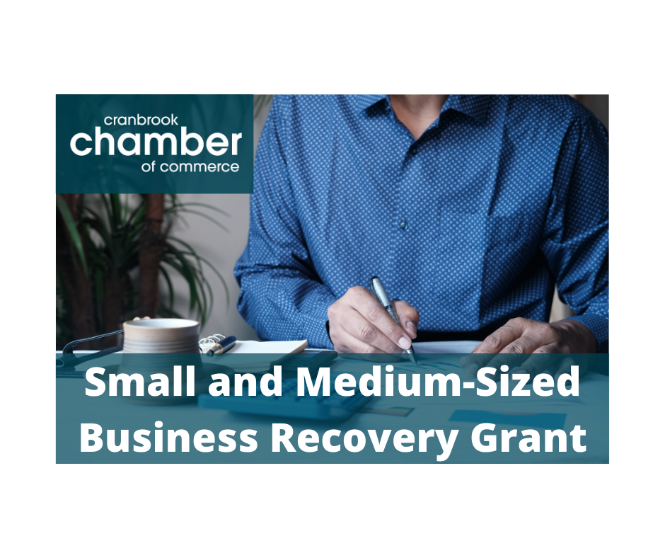 small business recovery grant program application